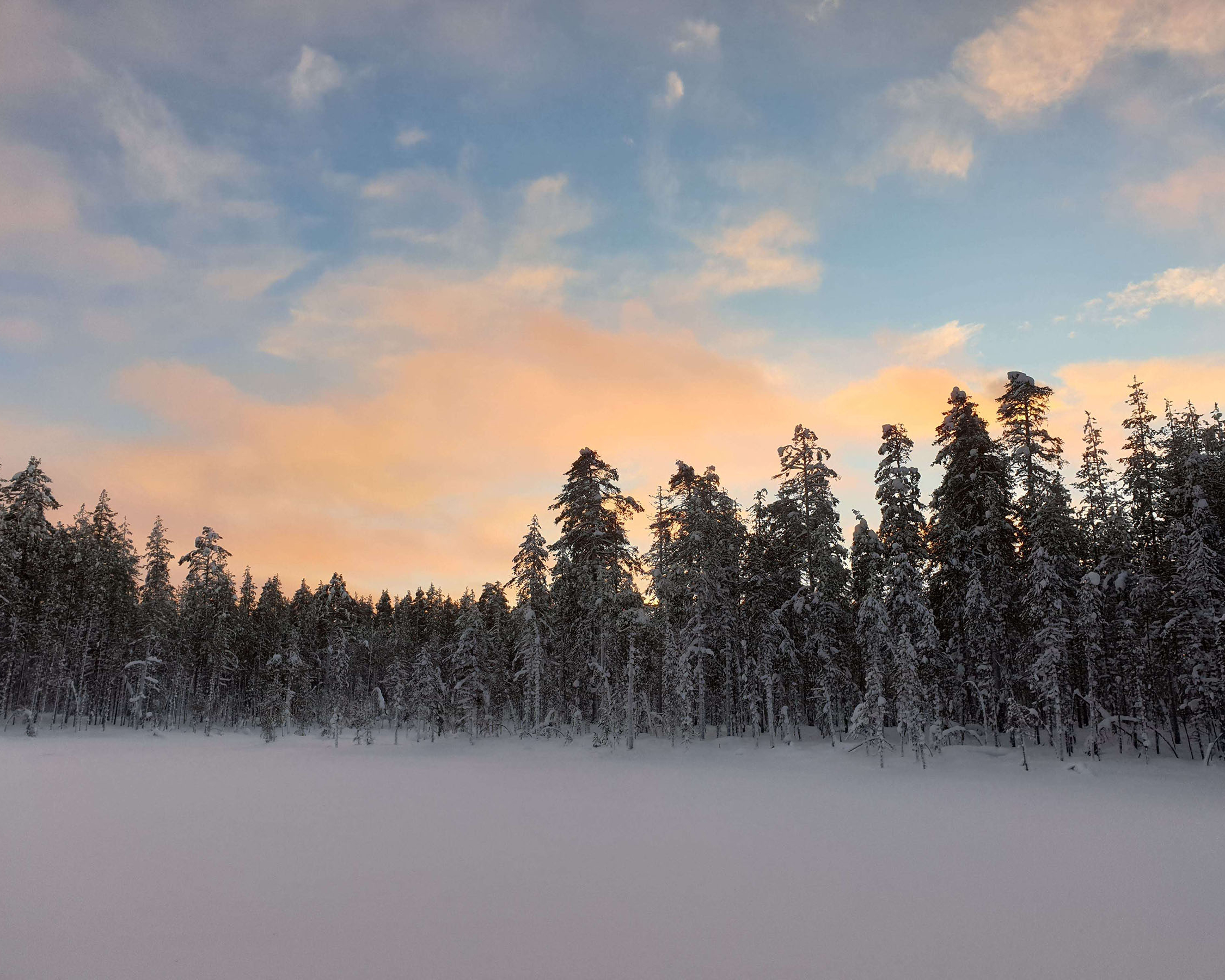 sneeuwlandschap finland