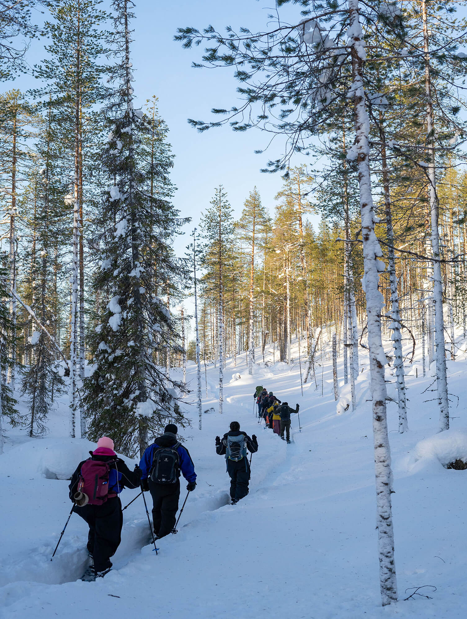 wandelen door de sneeuw in scandinavie