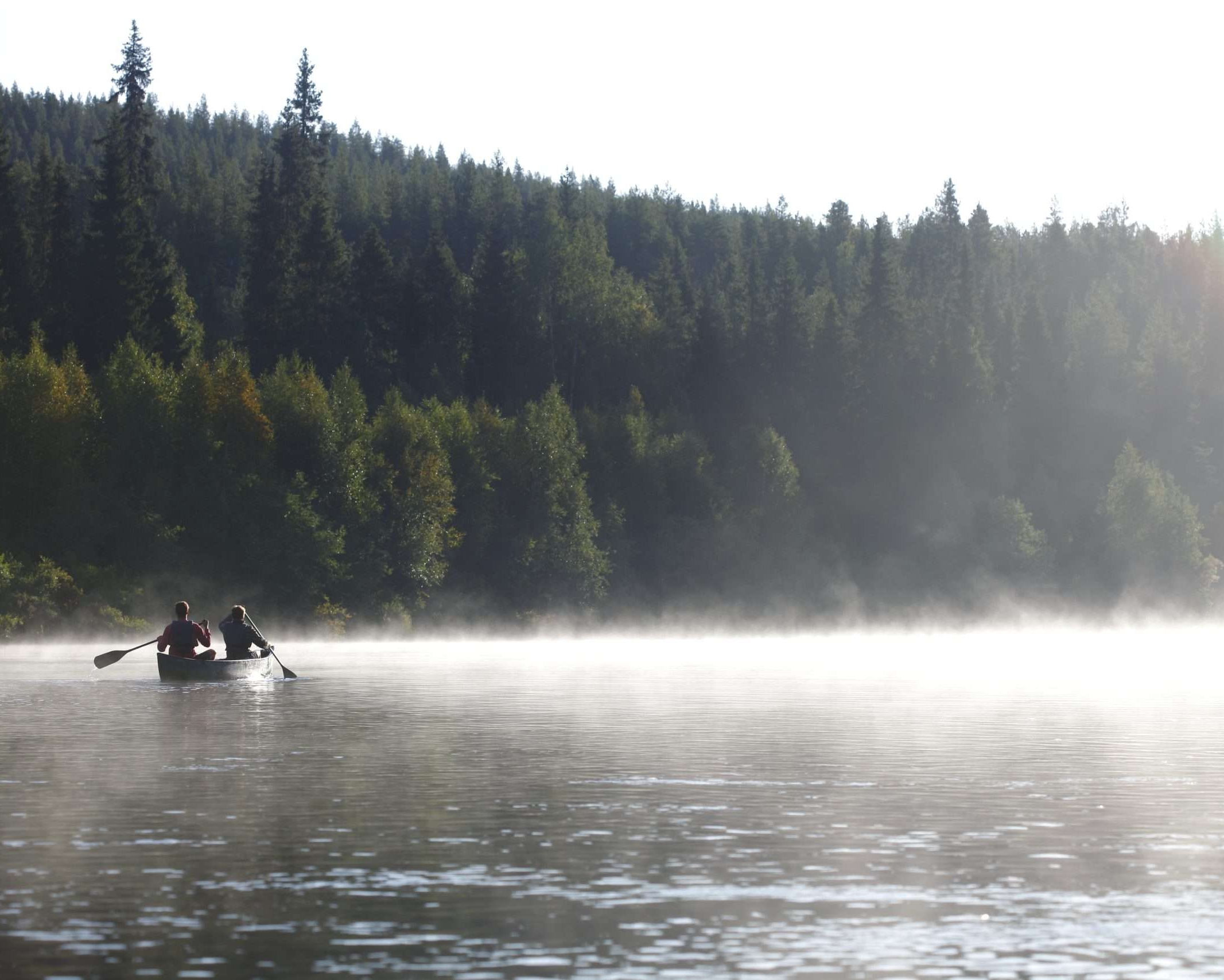 ervaring in de natuur van finland