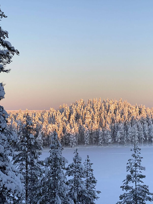 besneeuwde bossen in finland